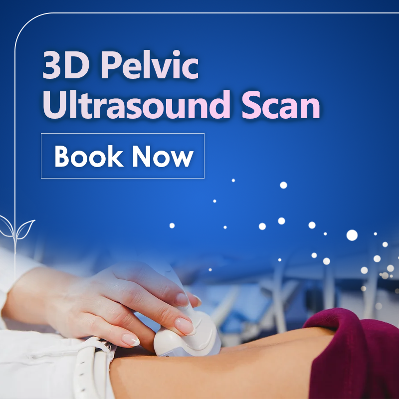 3D Pelvic Ultrasound Scan