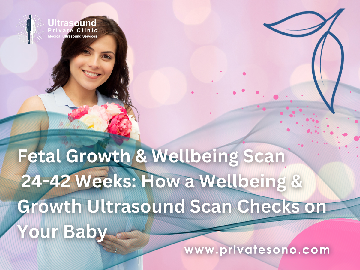 Fetal Growth And Wellbeing Scan 24 42 Weeks 