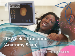20-Week Ultrasound (Anatomy Scan)