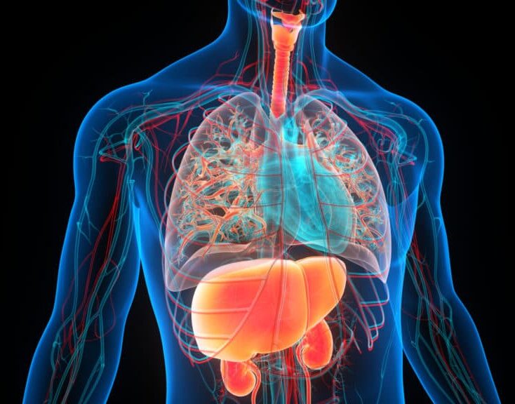 Cardiovascular & Metabolic Disease