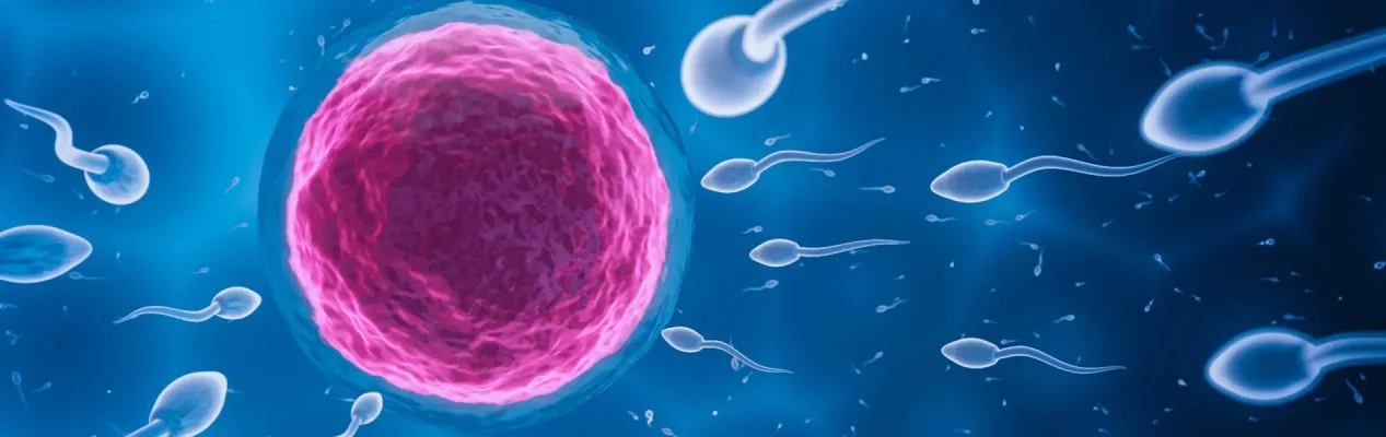 Fertility and Infertility