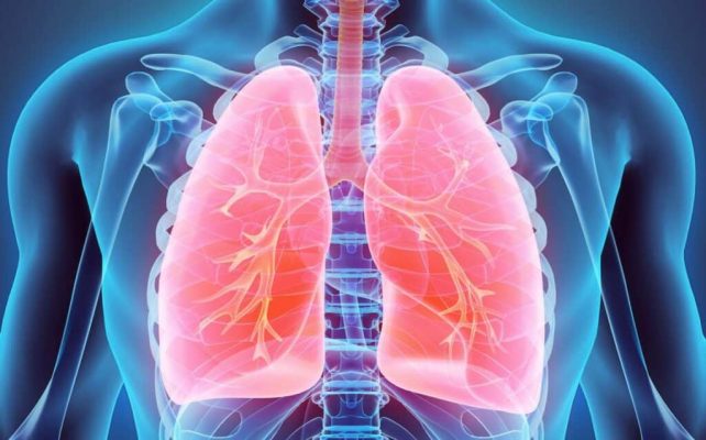 Lung Health Lung Health